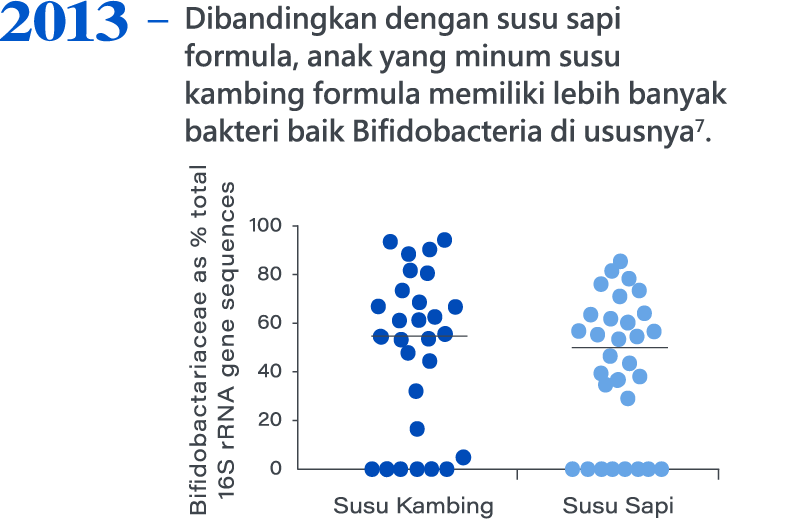 2013，Dibandingkan dengan susu sapi formula, anak yang minum susu kambing formula memiliki lebih banyak bakteri baik Bifidobacteria di ususnya7.