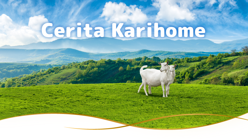 Cerita Karihome