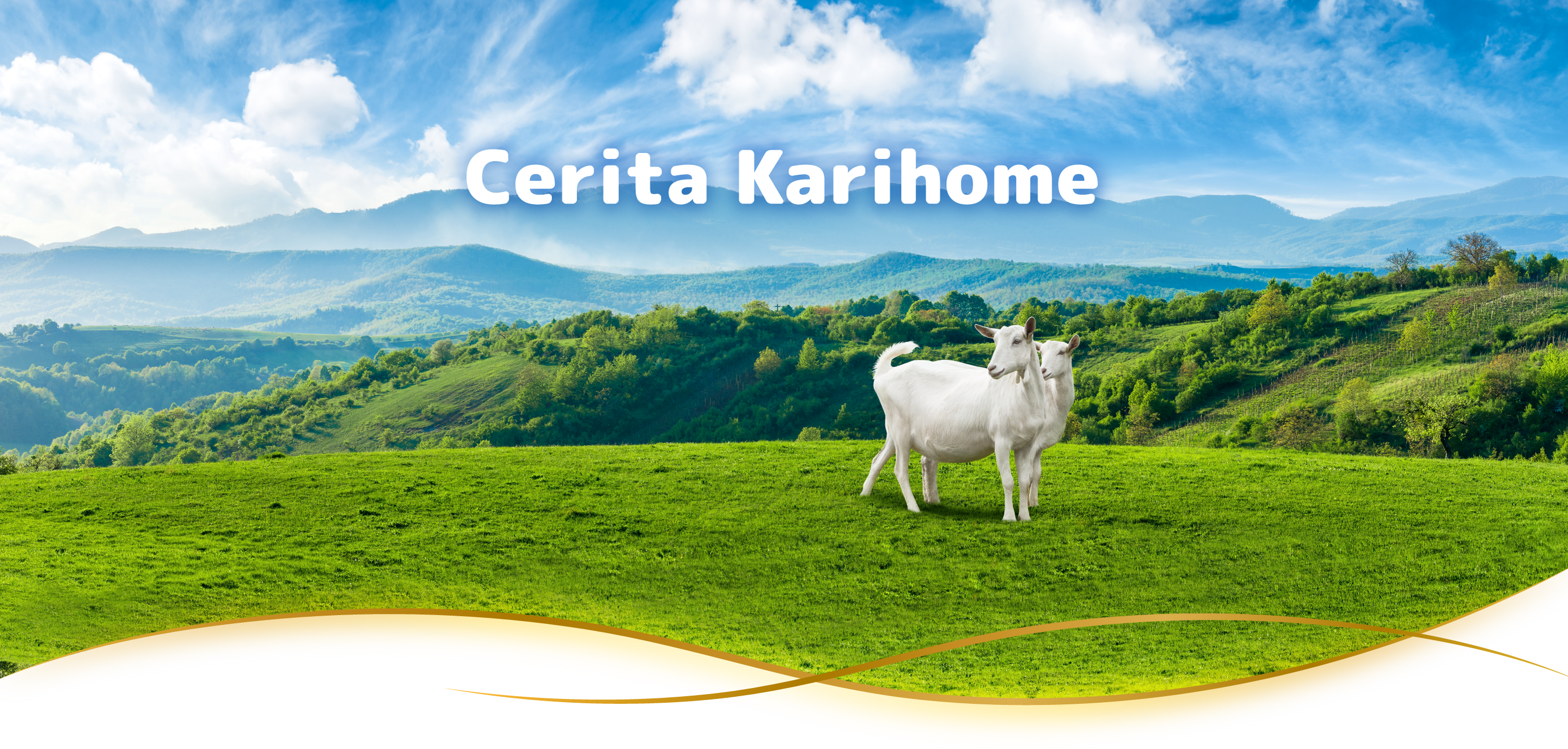 Cerita Karihome