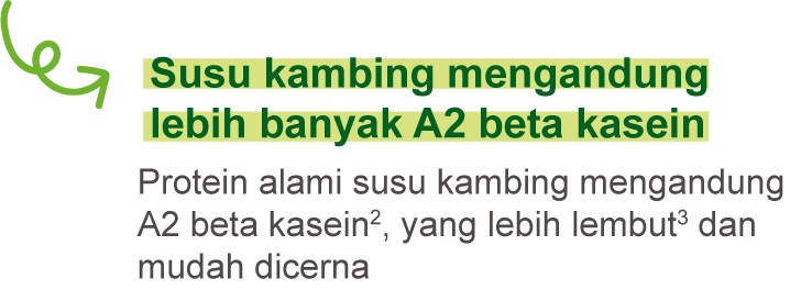 Susu kambing mengandung lebih banyak A2 beta kasein