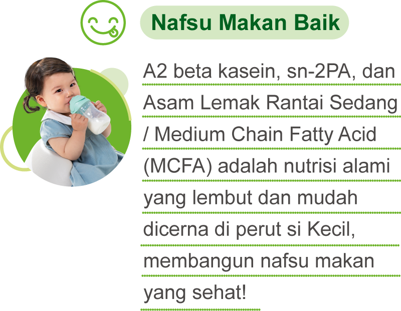 Nafsu Makan Baik