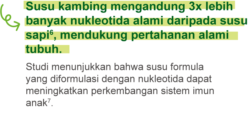 Susu kambing mengandung 3x lebih banyak nukleotida alami daripada susu sapi6, mendukung pertahanan alami tubuh.
