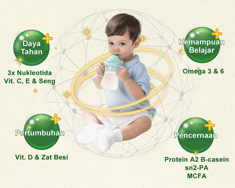 Karihome Dukung Perkembangan Menyeluruh si Kecil