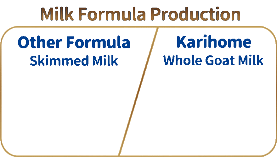 Milk Formula Production