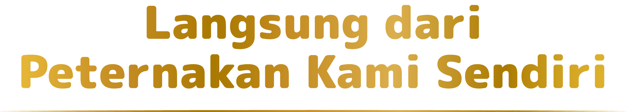 Langsung dari Peternakan Kami Sendiri